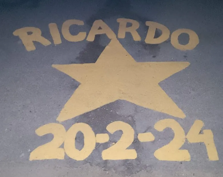 estrella ricardo 2