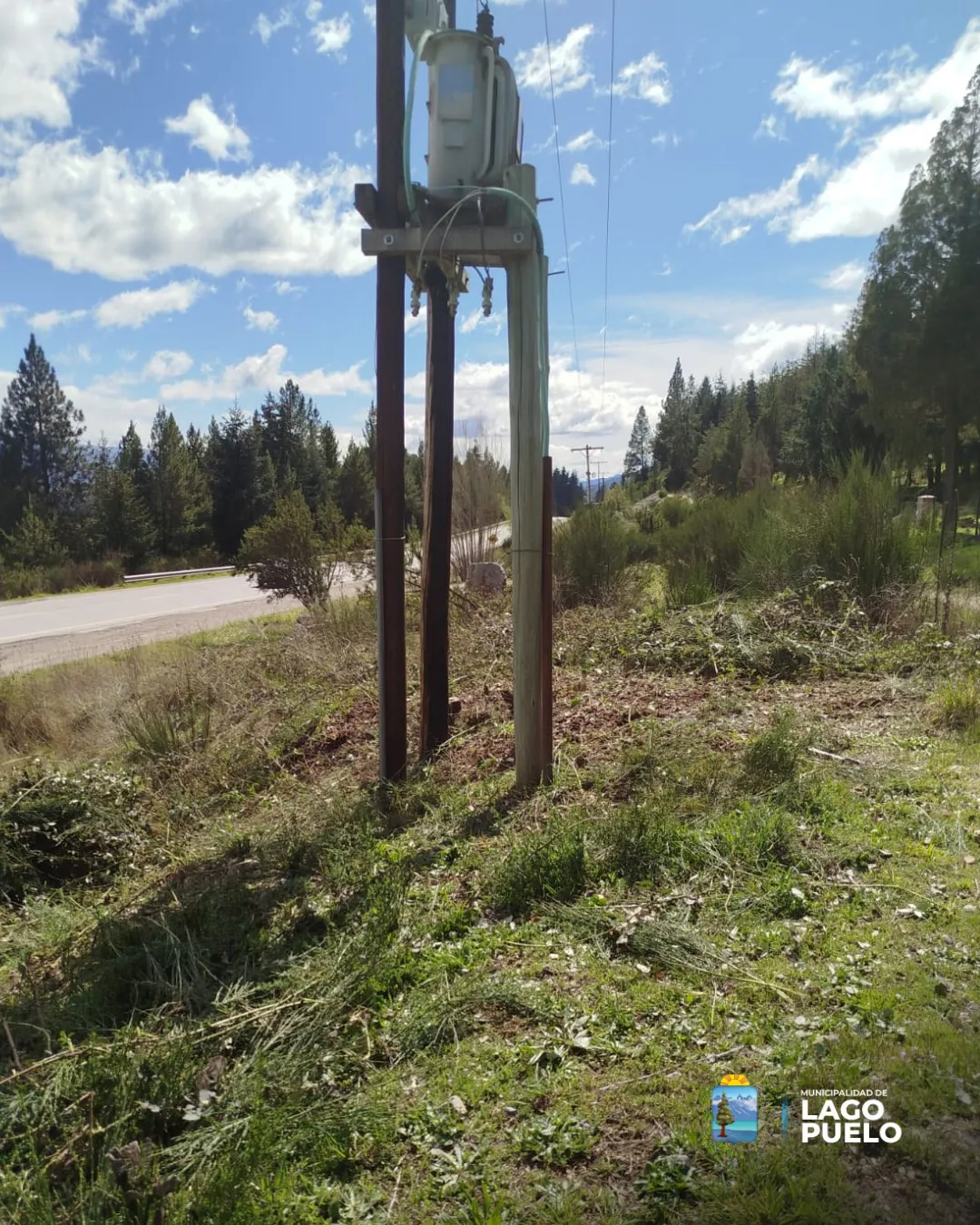 limpieza elect puelo 2