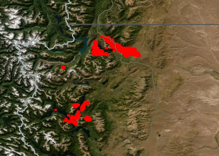 WhatsApp Image 2026-01-11 at 10.02.50