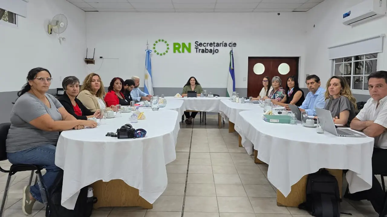 paritaria docente rn 2026 1