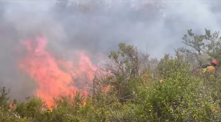 27beeff0-a822-485e-ba3d-70aa1e23012c