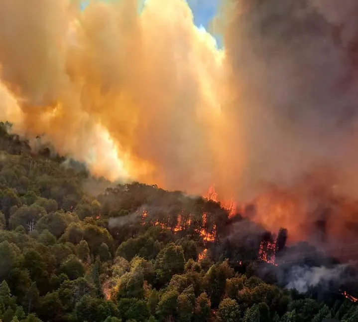incendio los manzanos 14