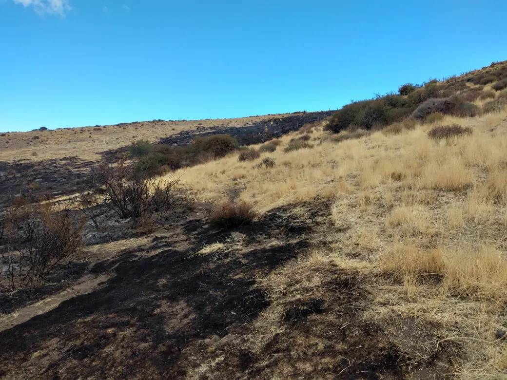 incendio cuesta del ternero marzo 1