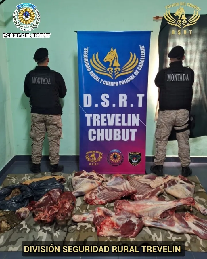 carne trevelin