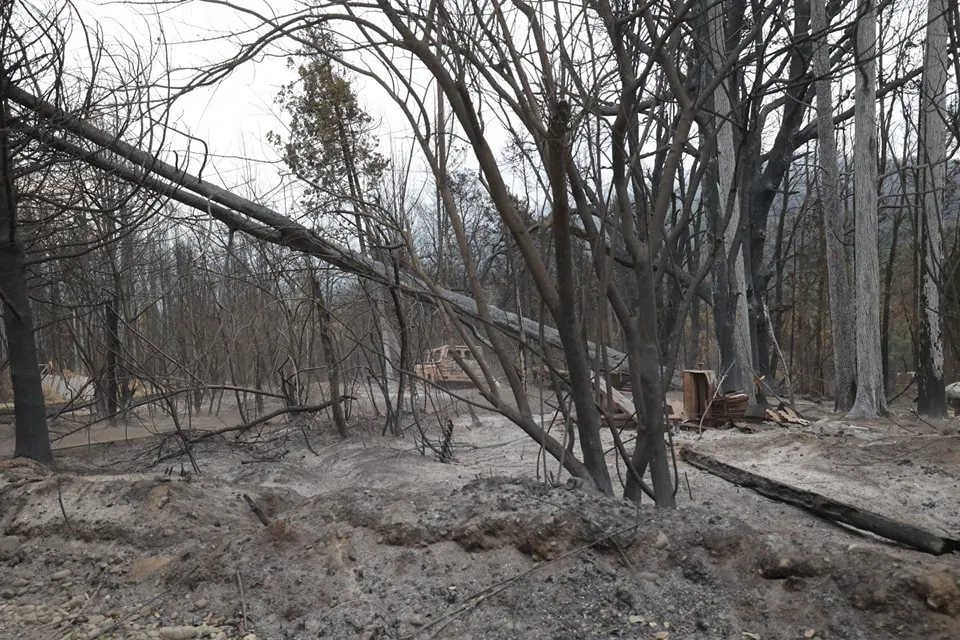 incendio el bolson 2