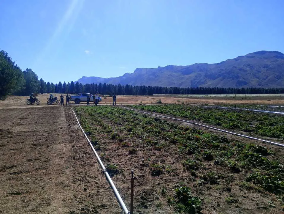 WhatsApp_Image_2026-02-06_at_14.56.38