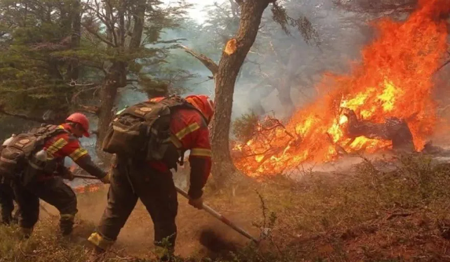 incendio los alerces ene