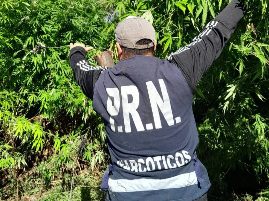 1773835206_e16680917f07e25c5abb