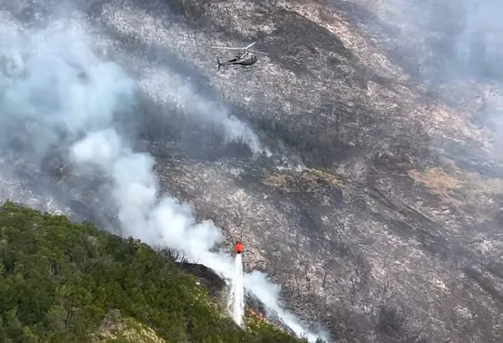 dac368a4-daa2-473d-ada6-a406f89c0987