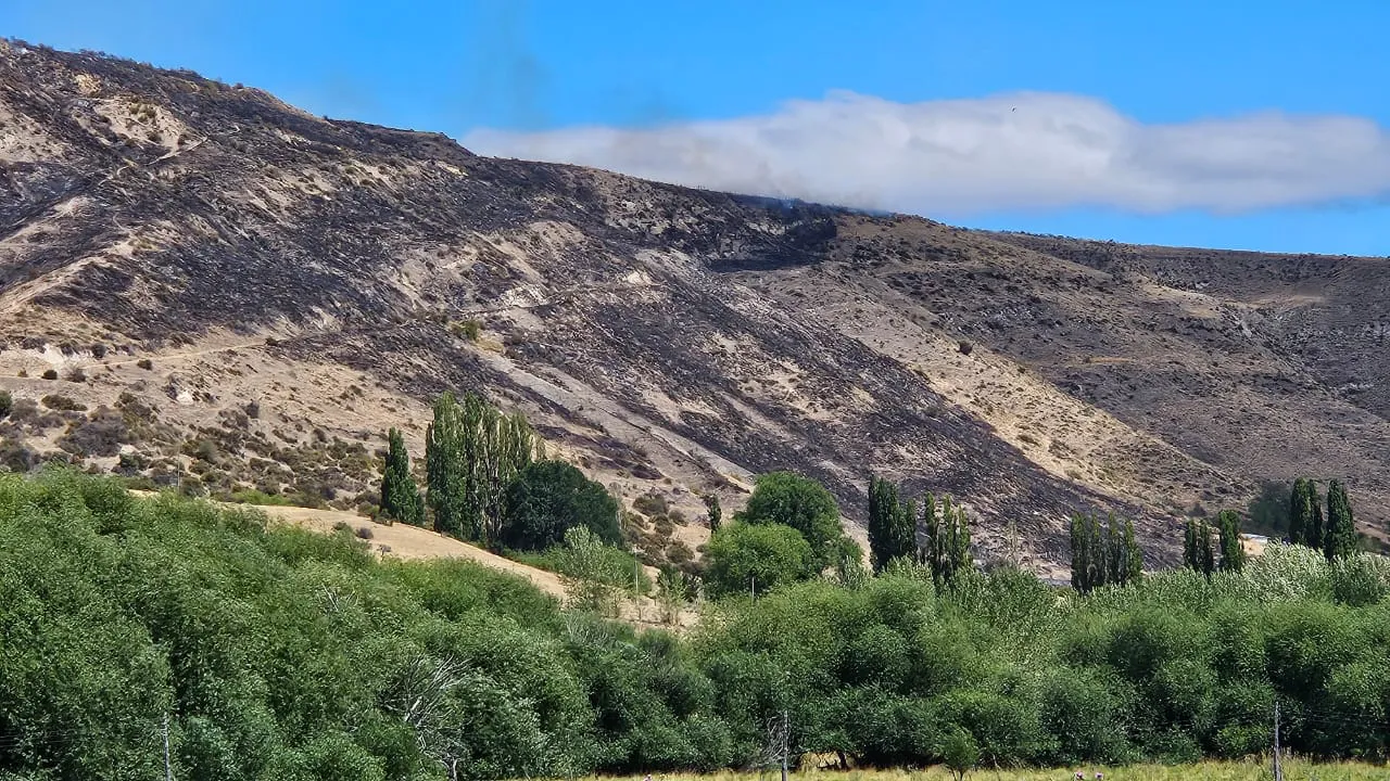 WhatsApp Image 2026-02-05 at 15.43.53