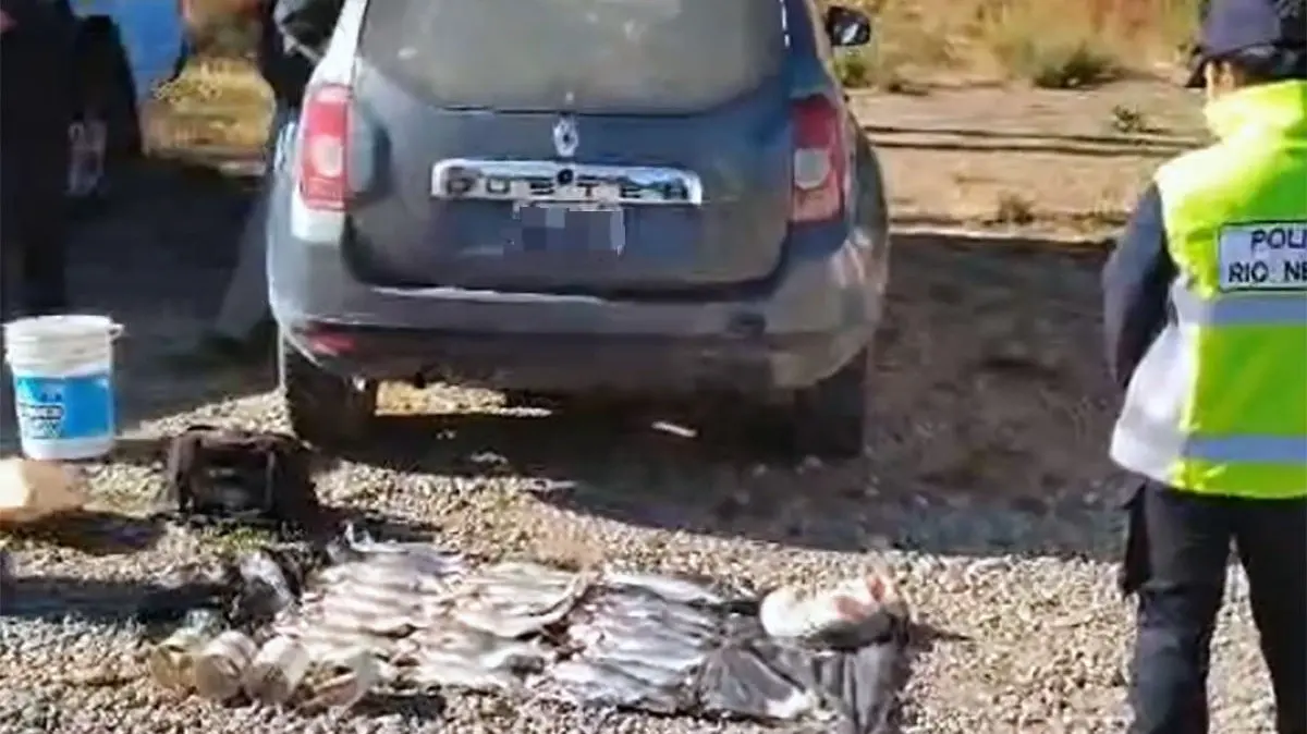 pesca ilegal 1