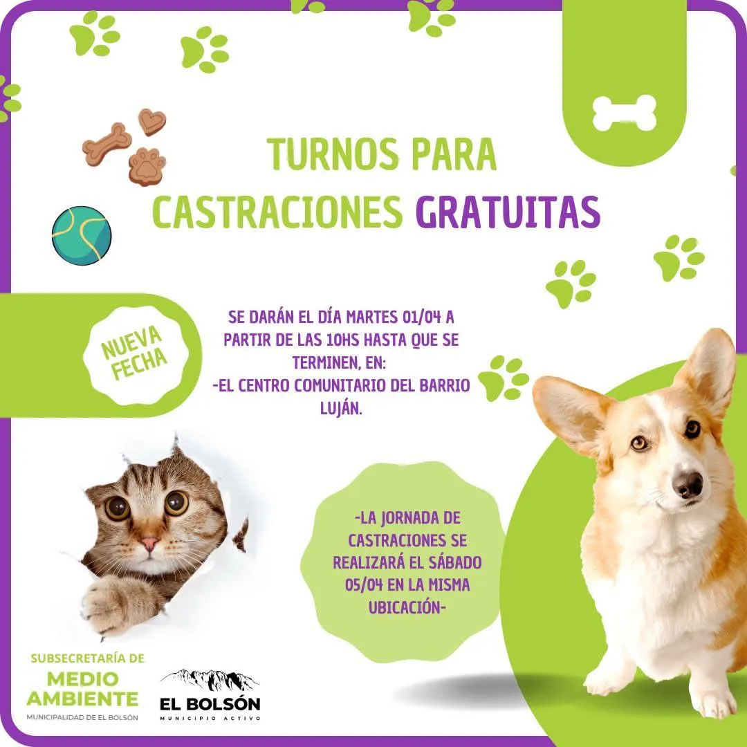 castraciones abril 3