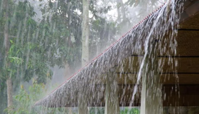 lluvias