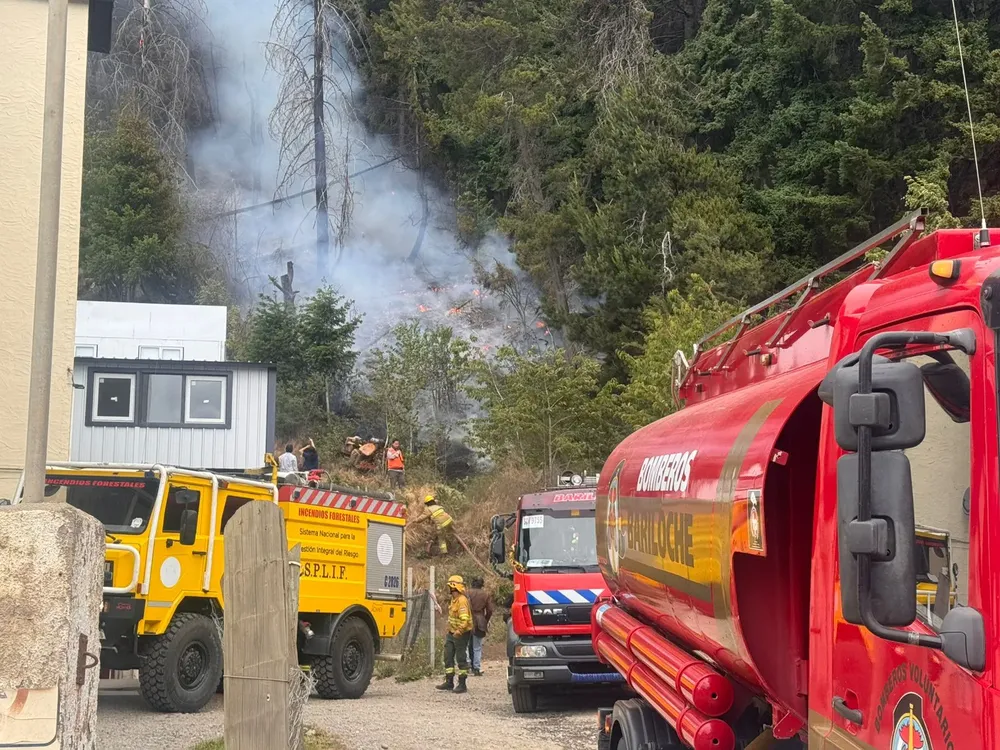 WhatsApp Image 2025-12-19 at 14.05.57 (1)