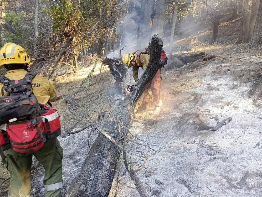 incendio patriada 43