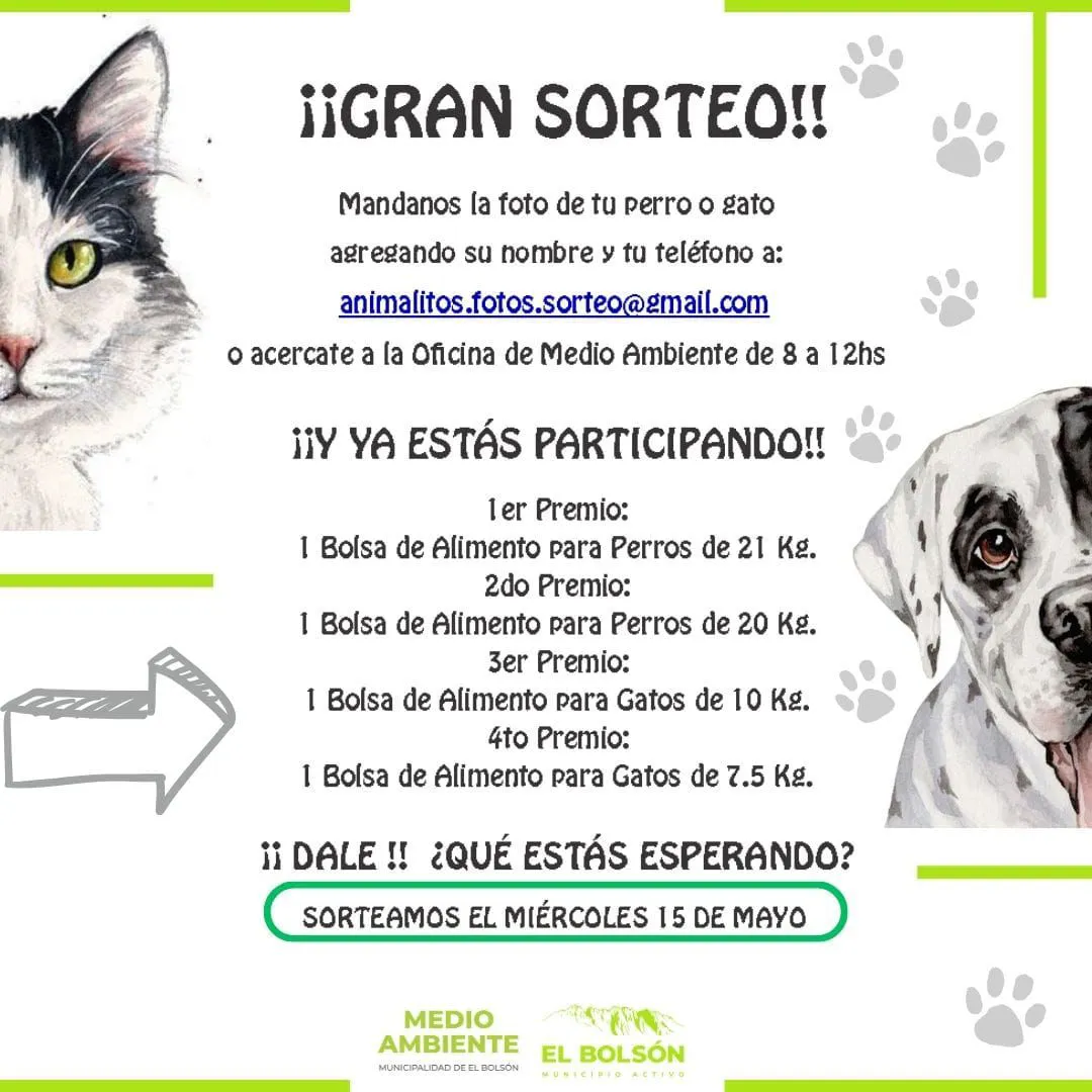 sorteo mascotas