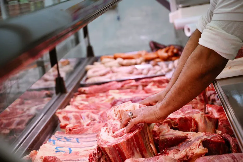 Carne1