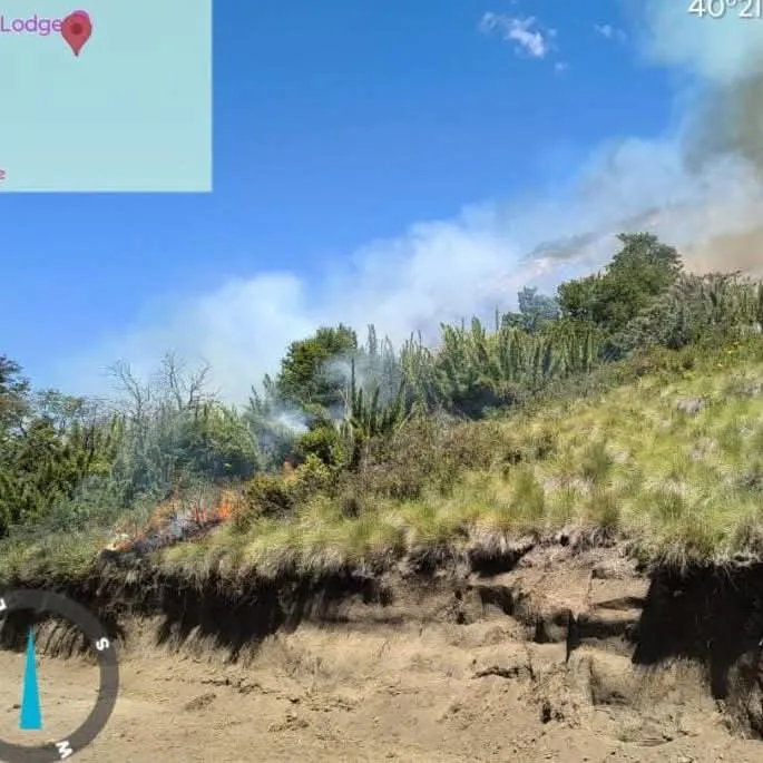 FB_IMG_1767556614670