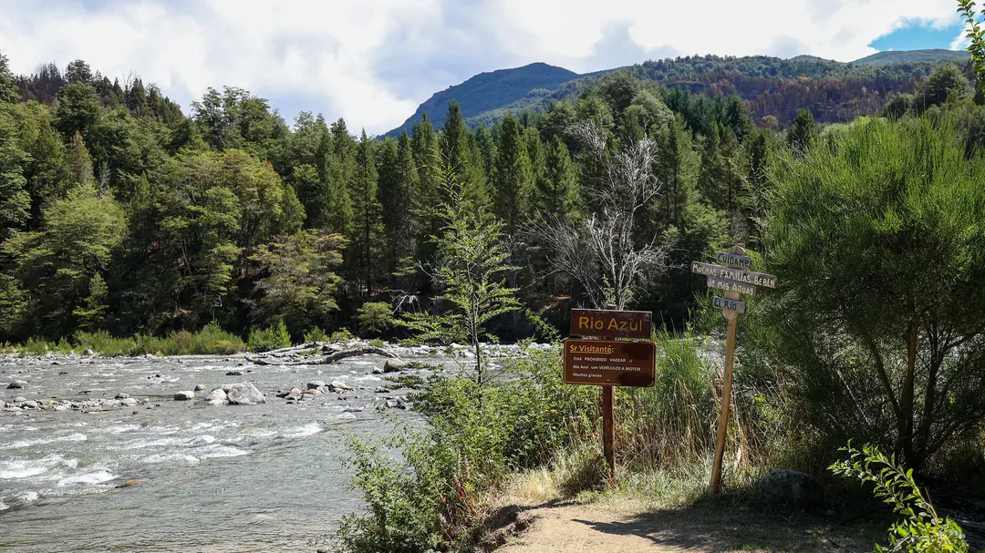 1746312603_49e22d597d2e65f07998