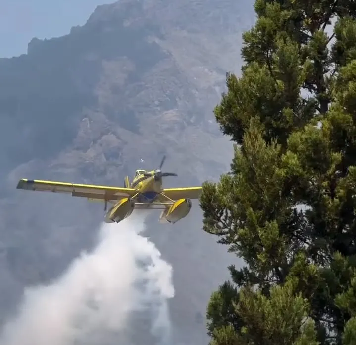 WhatsApp Image 2026-02-05 at 06.25.40