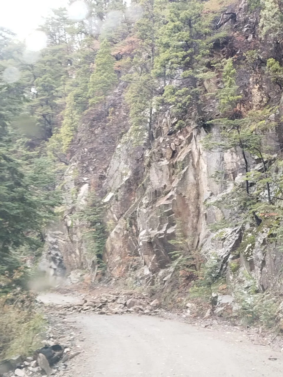 IMG-20260708-WA0137