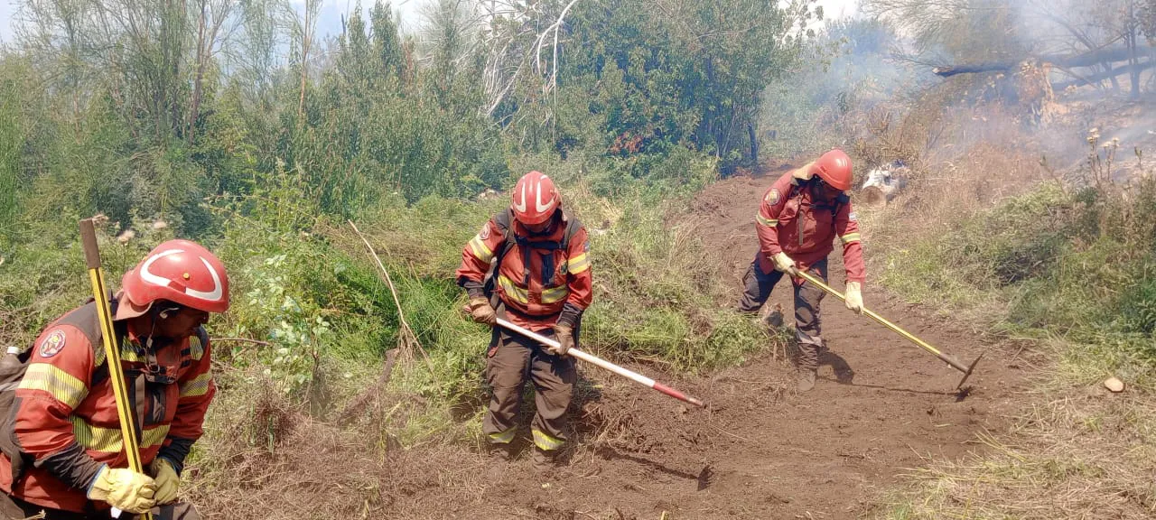 incendio pn los alerces 4