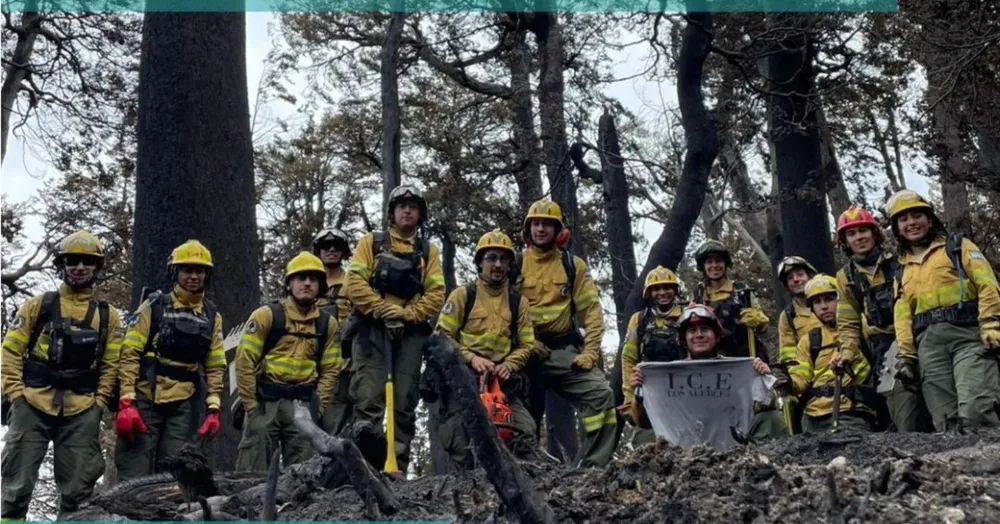incendio lago menendez 9