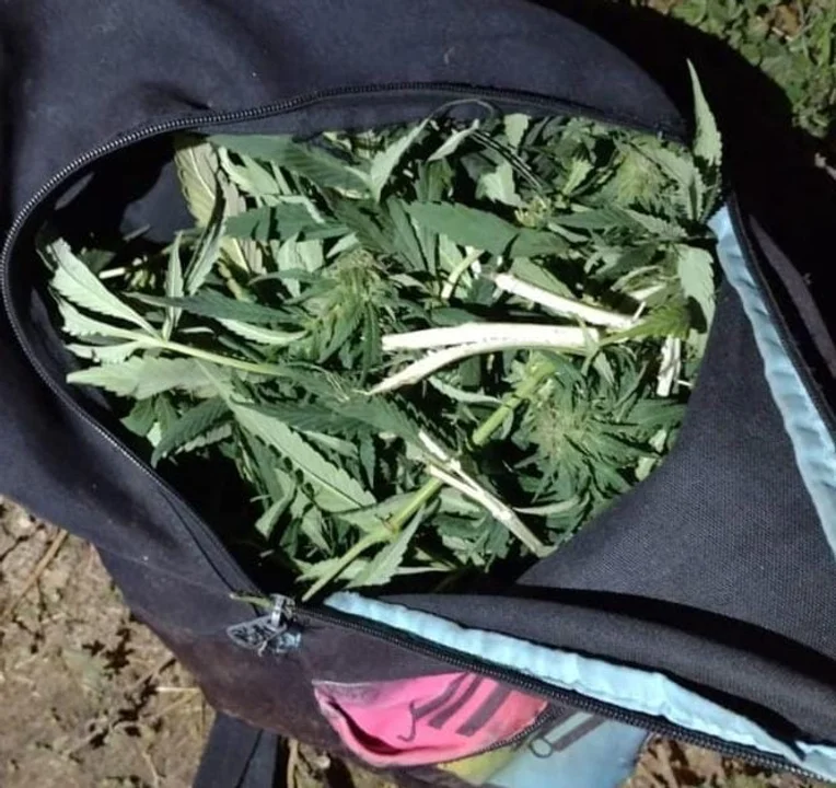 marihuana mochila