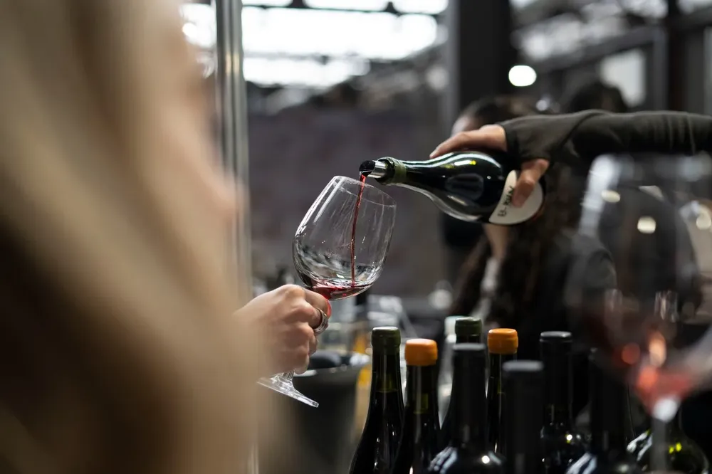 vinos chubut