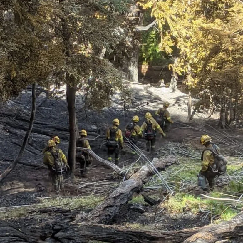 incendio los alerces extinguido
