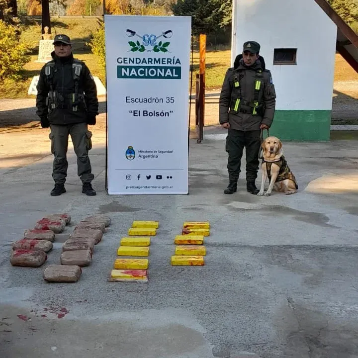 narco foyel 2