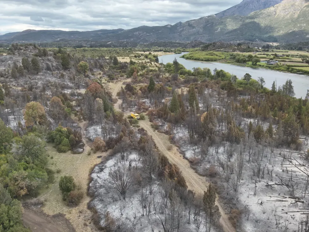 incendio los alerces marzo