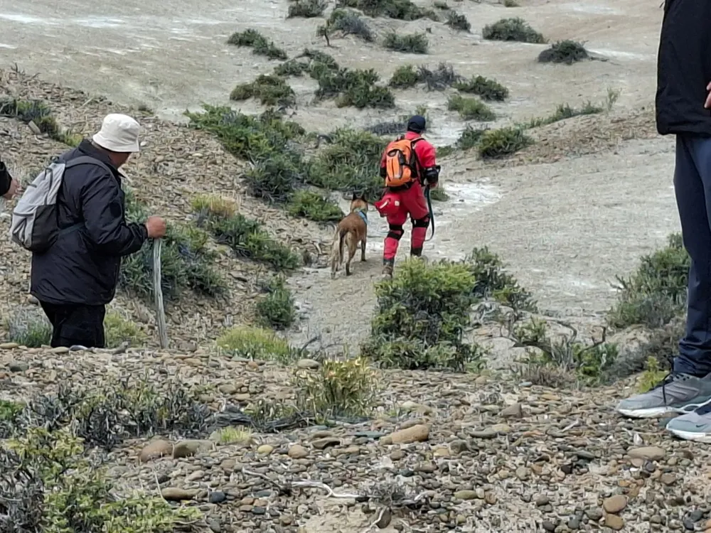 busqueda comodoro 14