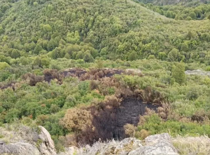 incendio los alerces nov 1