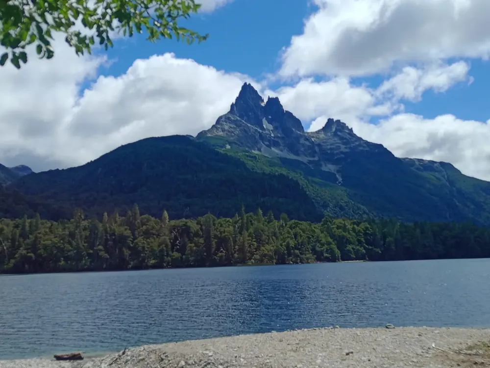 WhatsApp Image 2026-02-05 at 19.13.18