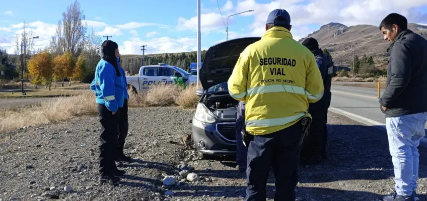 auto robado 2015