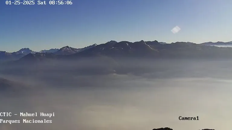 incendio los manzanos 87