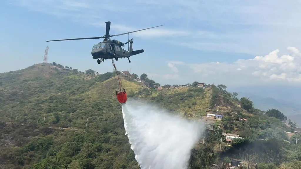 black hawk