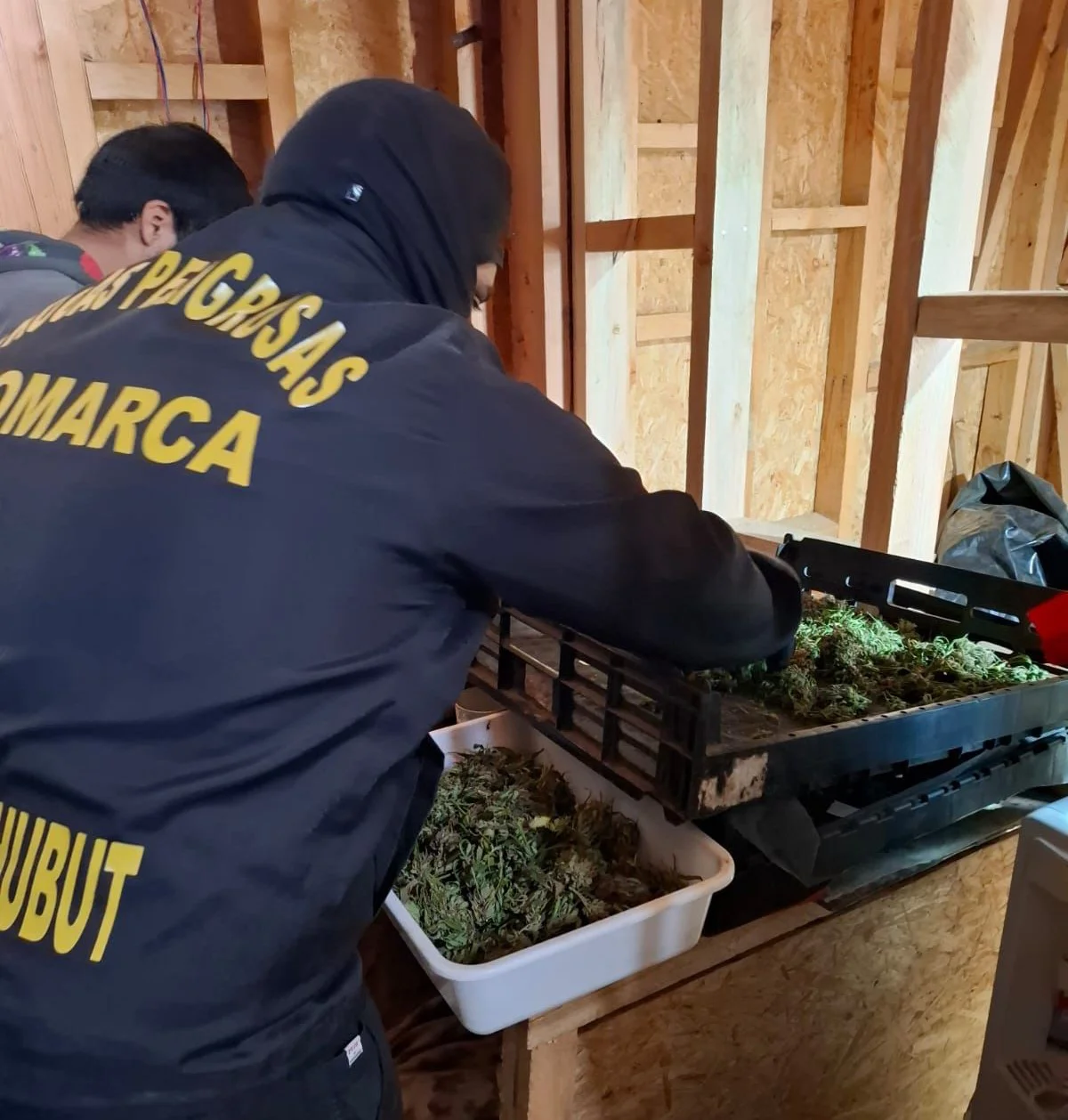 3fddf86c-c5c5-4313-bdb4-33924d383ee4