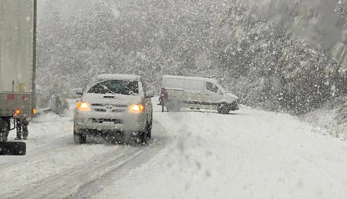 ruta-40-temporal-nieve-foto-Ahora-Comarca-22