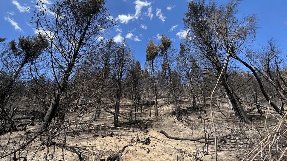 emergencia ignea el hoyo