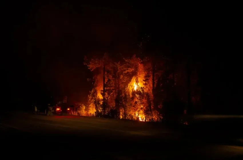 incendio mallin 22