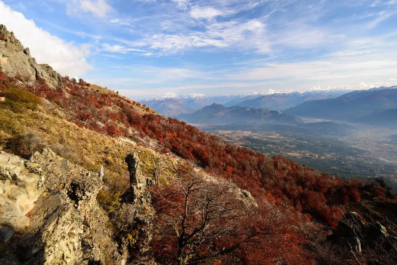 piltriquitron otoño