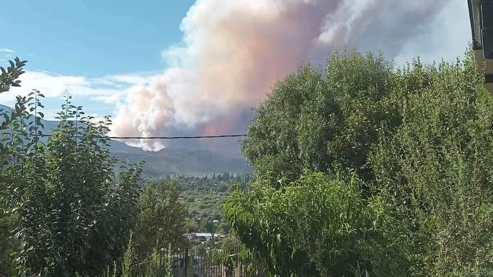 incendio mallin 8
