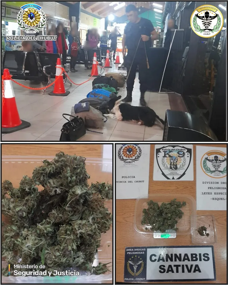 policia esquiel