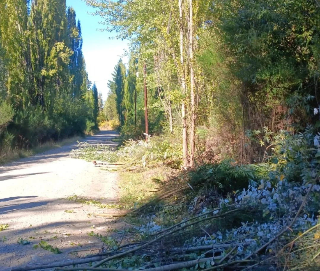 650129039_1370420345124268_7942255574419358744_n