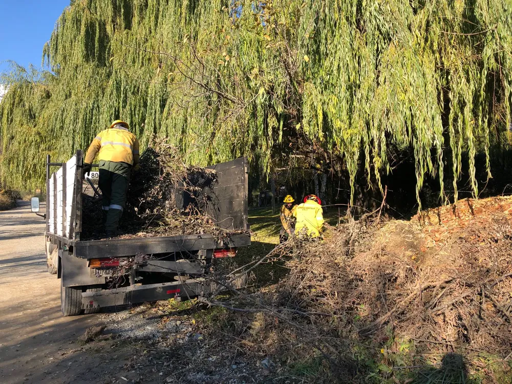 traslado residuos forestales