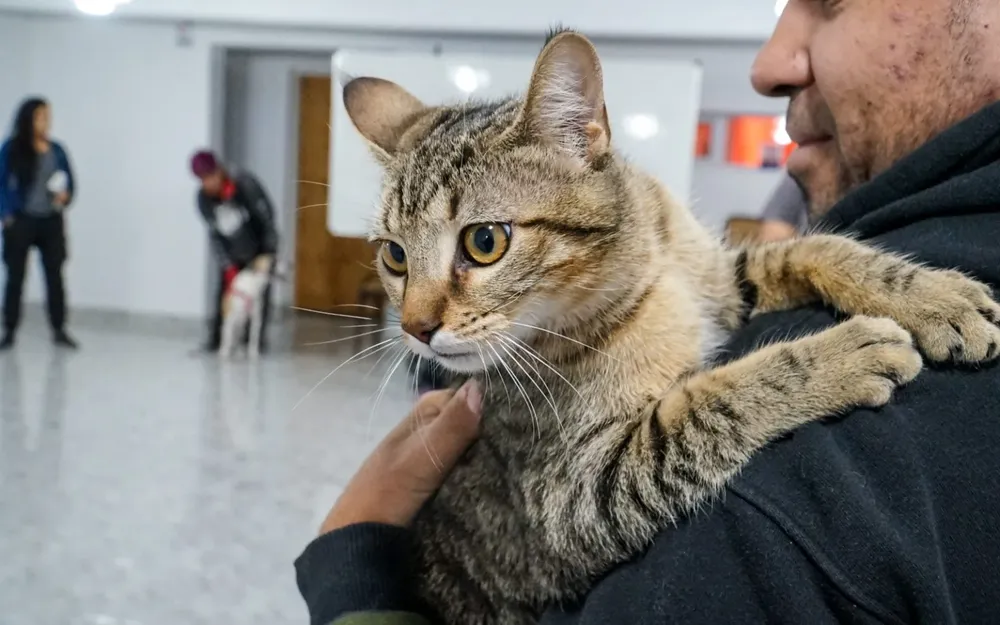 CASTRACIONES-SUM-BARRIO-25-DE-MAYO-1-1536x960