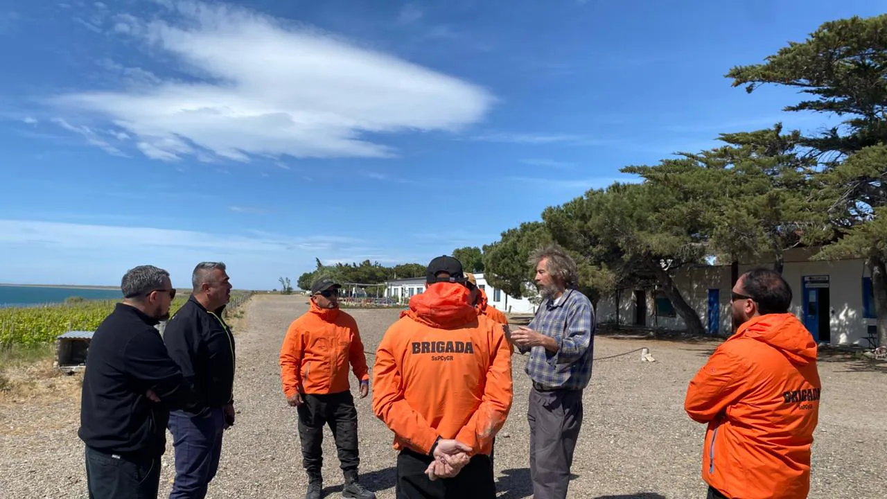 WhatsApp Image 2025-11-13 at 09.19.04