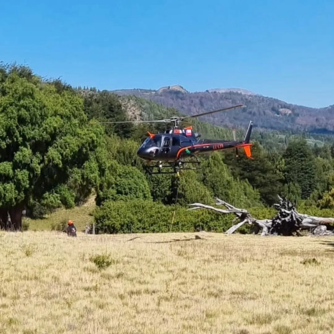 incendio lago menendez 16